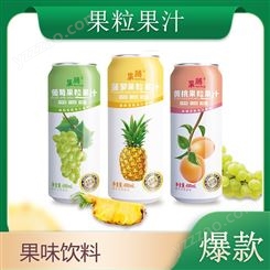 果粒果汁490ml葡萄菠萝黄桃味果汁饮料夏季饮品