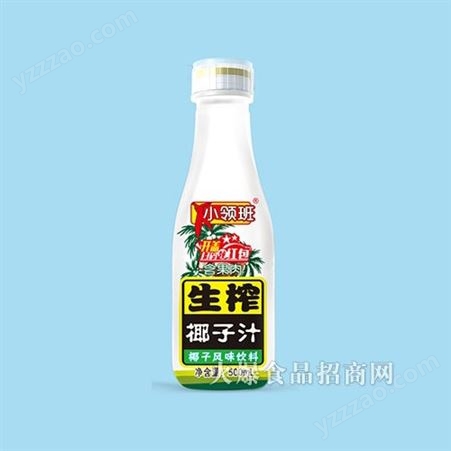生榨椰子汁500ml含果肉风味饮料夏季植物饮品