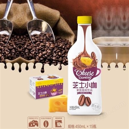 芝士大咖摩卡咖啡饮品450mlX15高颜值精品咖啡