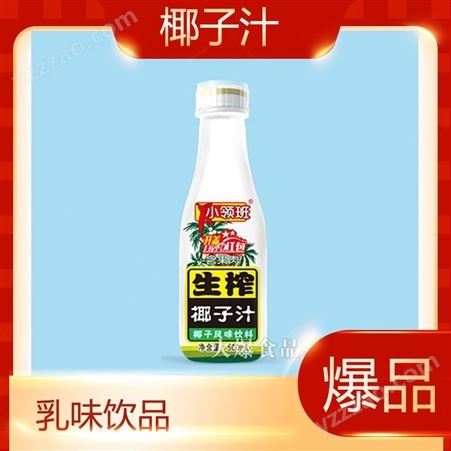 生榨椰子汁500ml含果肉风味饮料夏季植物饮品