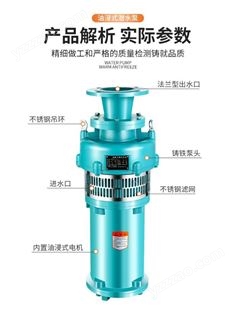 上海人民矿用泵多级双叶轮油浸泵380v三相灌溉高扬程大流量潜水泵