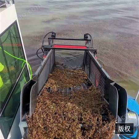 水葫芦打捞船 水面碎草船 维护方便 承载力大 耐用性较好 可定制