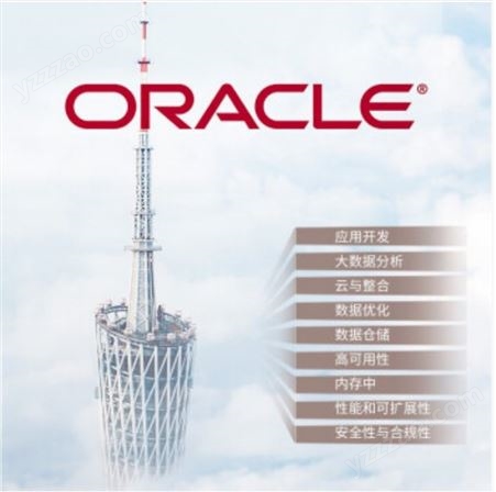 ORACLE数据库甲骨文数据库oracle标准版数据库软件