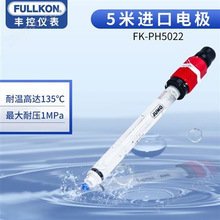 丰控FK-PH-5022 5米进口电极
