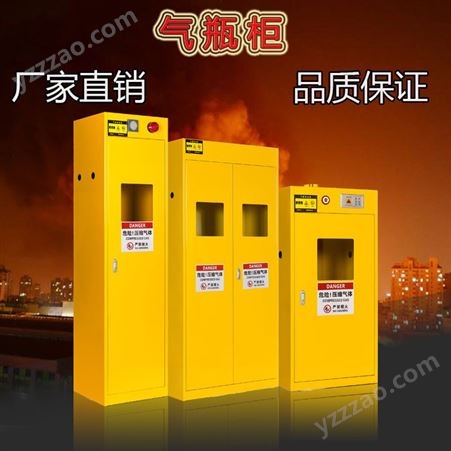 金鸿 气瓶柜 安全储存箱 煤气液化气体防爆柜 单双三瓶智能报警器