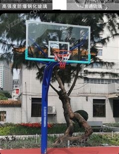 员工休闲健身器材篮球架东莞固定式移动篮球架健动户外健身设施