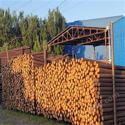 建亿建筑 杉木桩 杉木原木 杉木杆 加工建筑木材供应