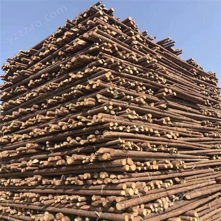 建亿建筑 供应河道防汛松木桩、绿化支撑杉木杆、竹笆片、木方