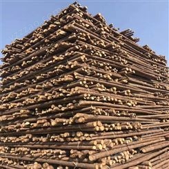 建亿建筑 精品杉木杆 园林绿化支撑杆 建筑打桩木 源产地发货