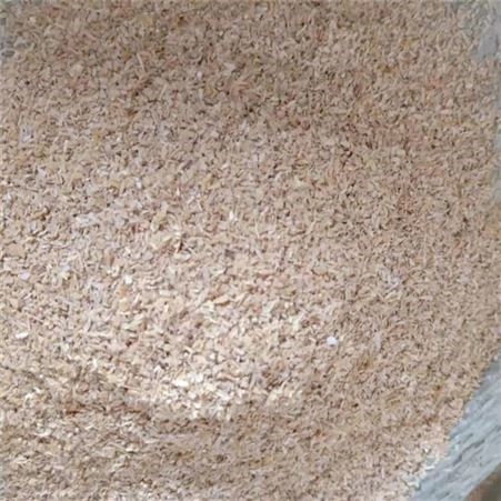 河北大量供应新鲜稻壳 除尘稻壳 压缩压块稻壳