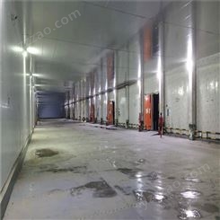 雪霸狮山大型冷库出租 海鲜水产食品冷冻库租赁
