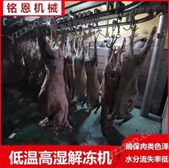 低温高湿解冻机 进口猪牛羊肉缓化设备 冻肉解冻库